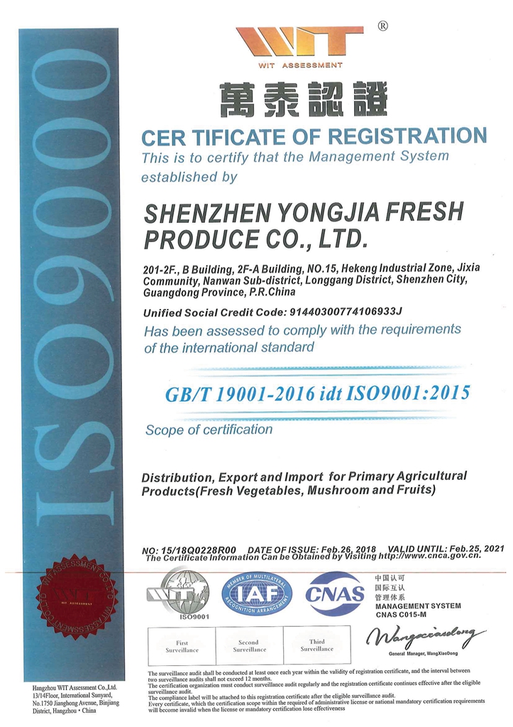 深圳永佳英文ISO9001-2