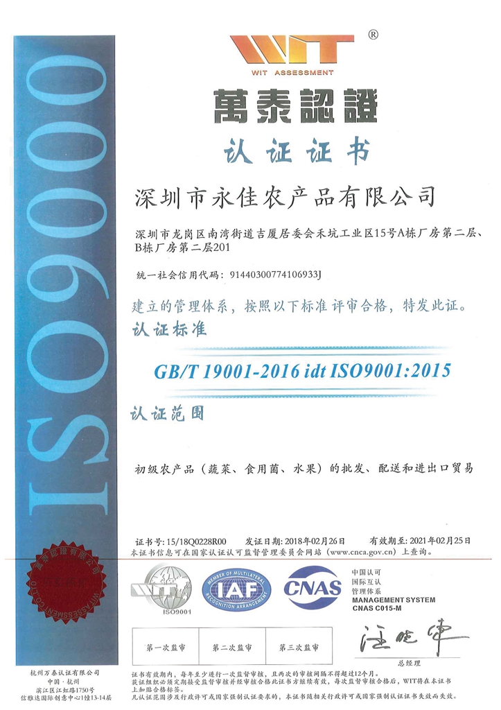 深圳永佳中文ISO9001-1