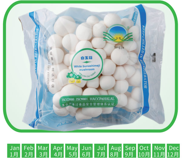 白玉菇 White beech mushroom